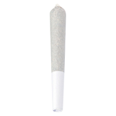 Electric Lettuce Indie Pre-Roll