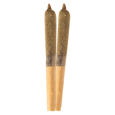 IN-Fused Tropical Punch Infused Pre-Roll